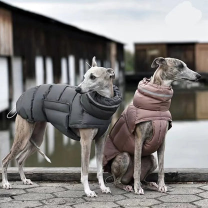 Premium Thermal Dog Vest for Cold-Weather Protection