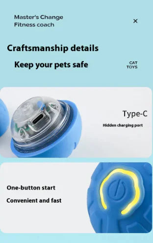 Pet Play Ball - Interactive Fun for Your Furry Friend