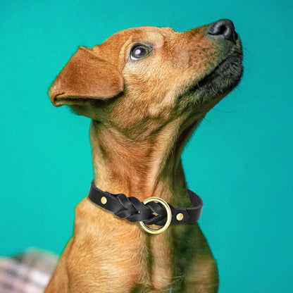 Dog Collar and Leash Set - Leather Elegance for Medium and Large Dogs