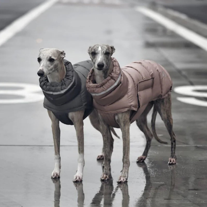 Premium Thermal Dog Vest for Cold-Weather Protection