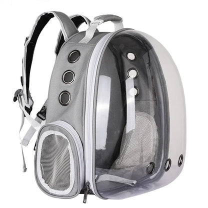 Gray bubble pet carrier backpack with mesh ventilation and ergonomic straps