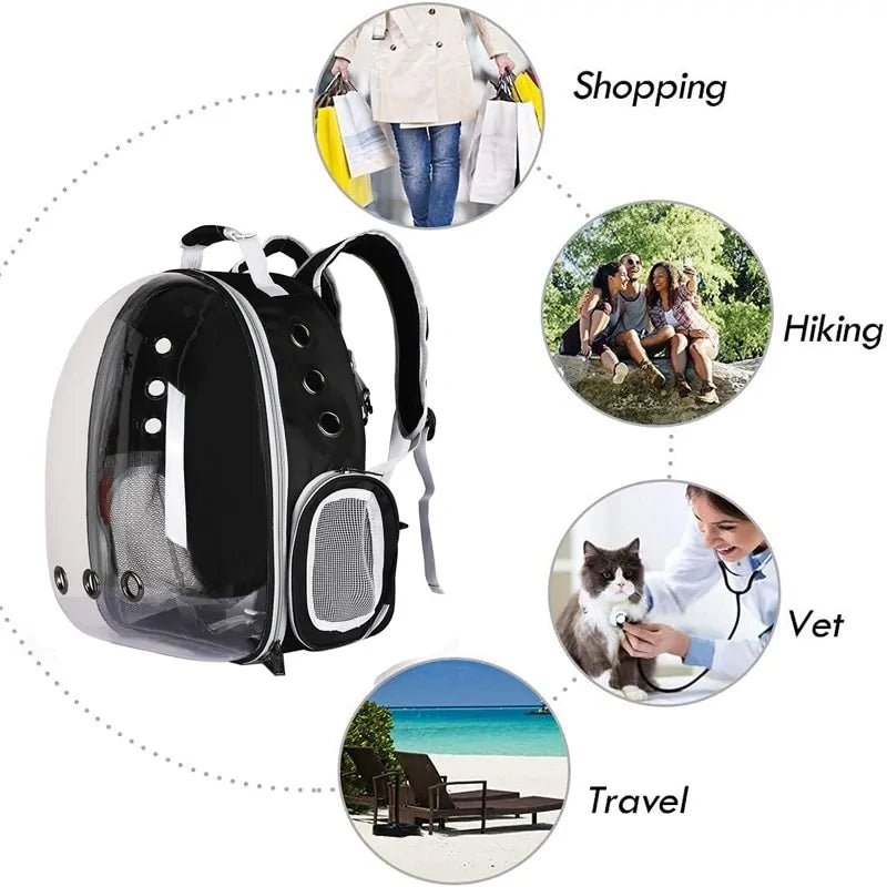 Close-up of the pet backpack’s clear bubble window