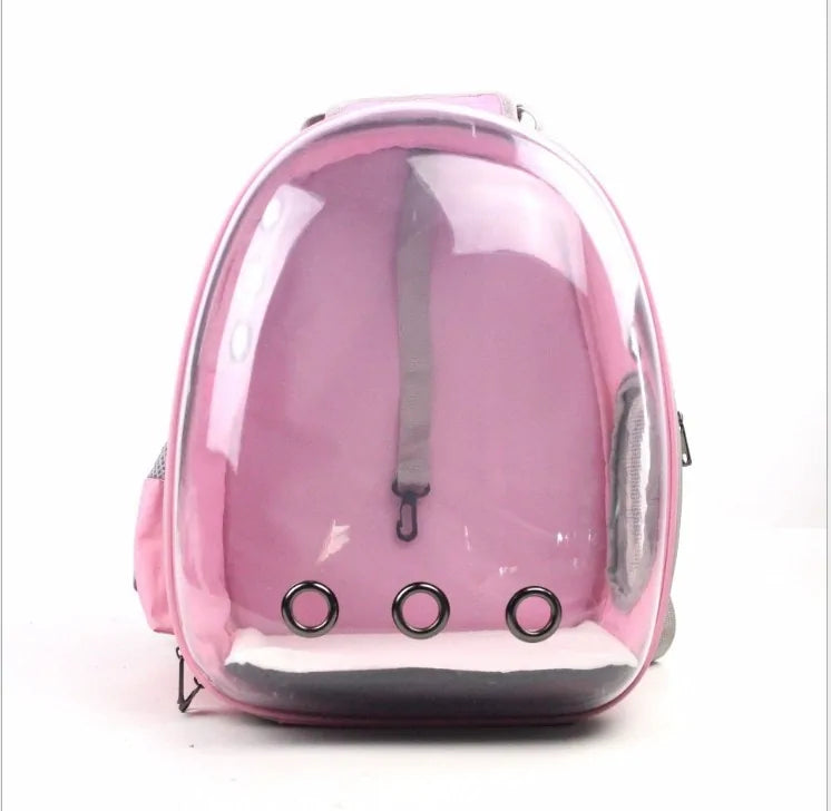 Pink pet carrier backpack with a kitten inside, showing cozy interior