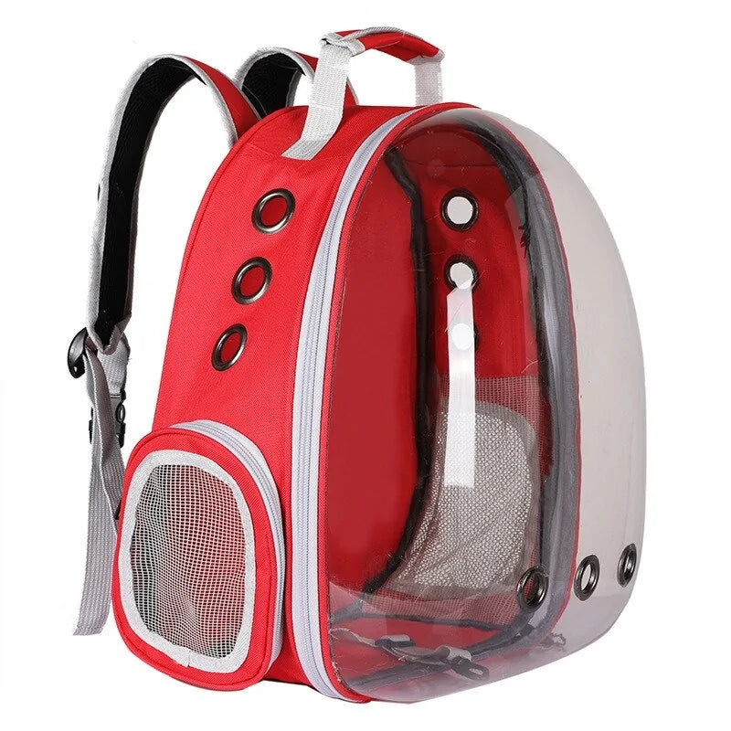 Bright red pet backpack with transparent front and adjustable buckles