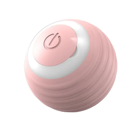 Pet Play Ball - Interactive Fun for Your Furry Friend