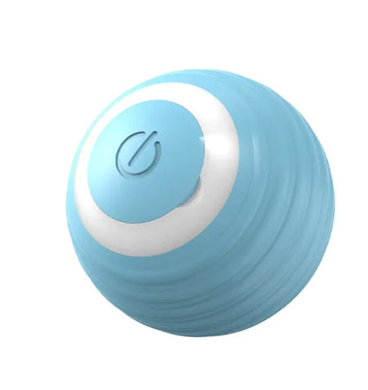 Pet Play Ball - Interactive Fun for Your Furry Friend