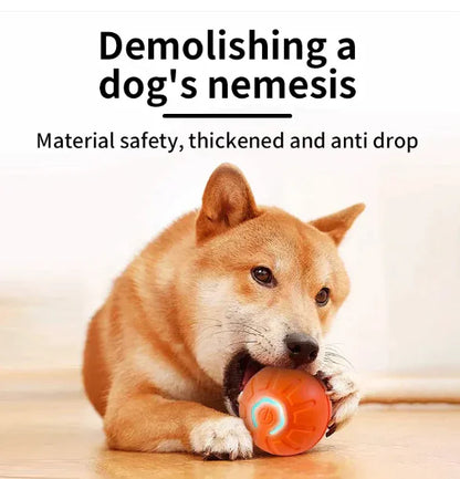 Pet Play Ball - Interactive Fun for Your Furry Friend